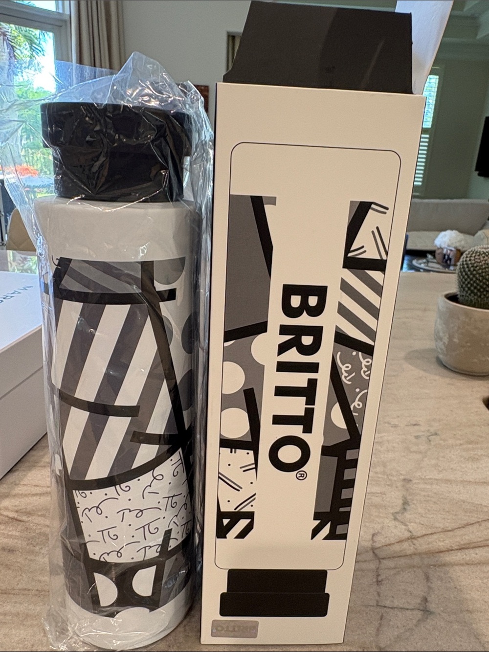 BRITTO Black & White Graphic Insulated 25oz Water Bottle